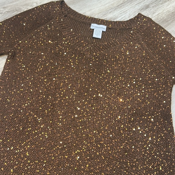 Soft Surroundings Brown Sequin Embellished Shimmer Knit V-Neck LS Tunic Sweater - Picture 3 of 9